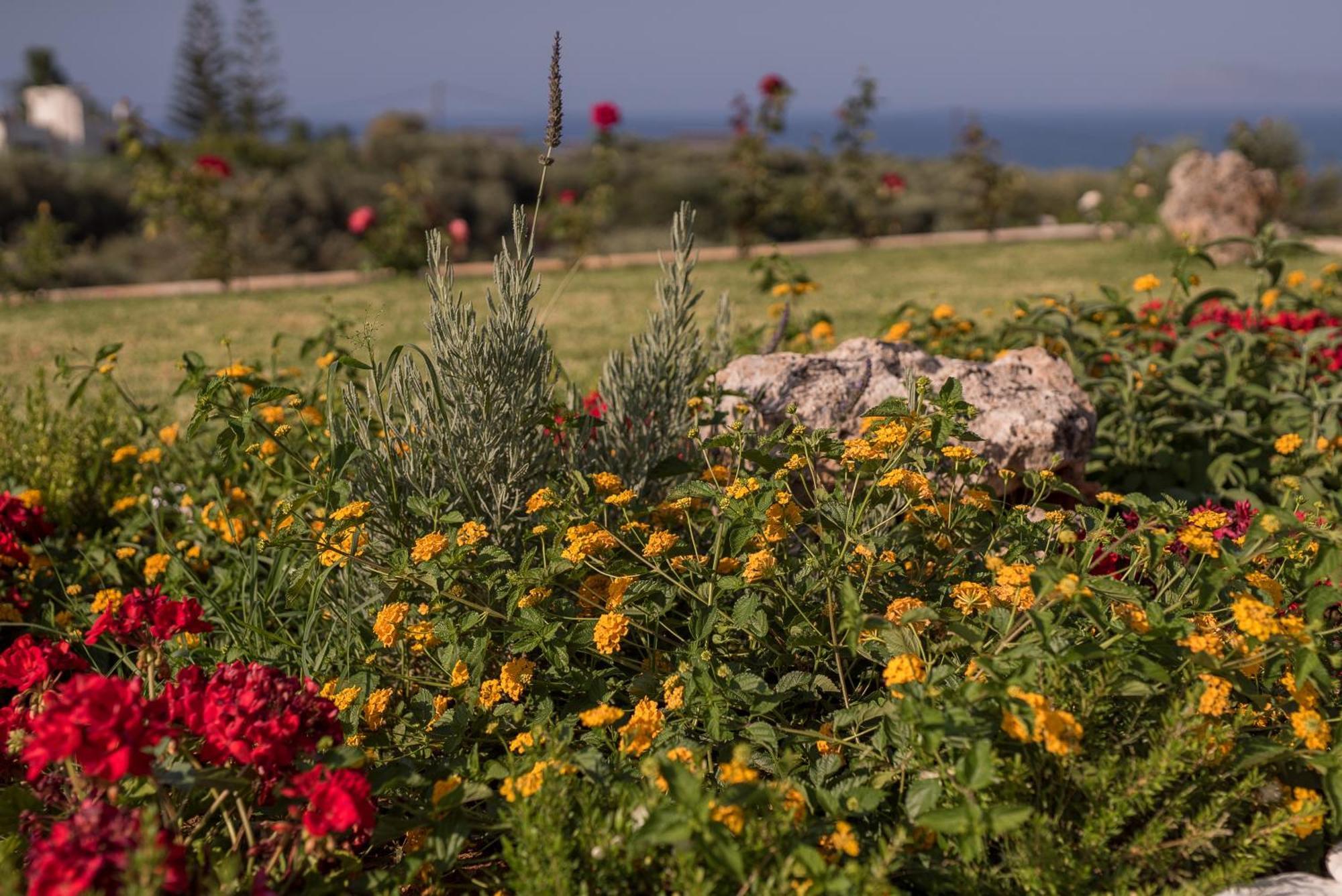 Koukos Villas *