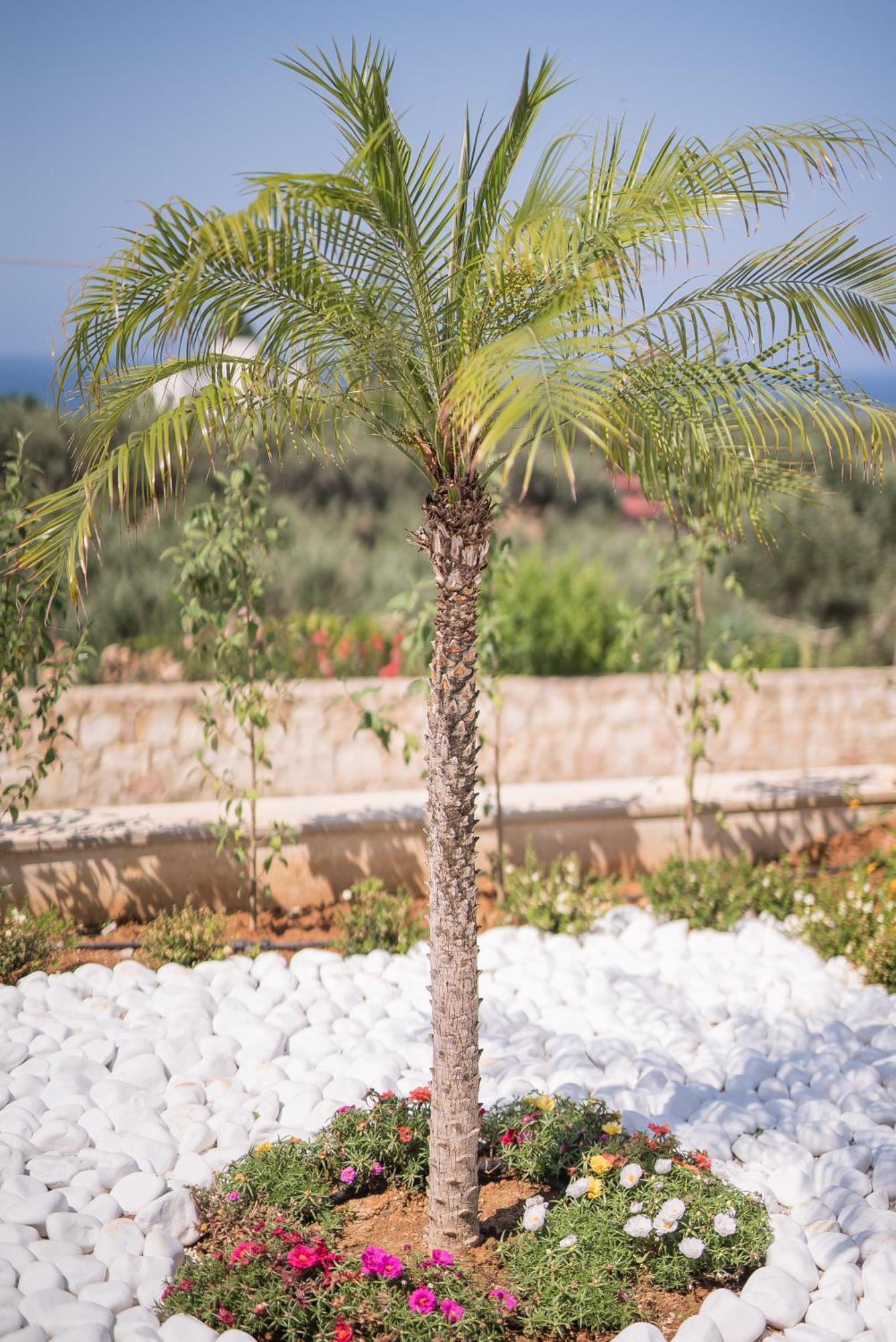 Villa Koukos Villas